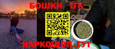 дмт Кингисепп