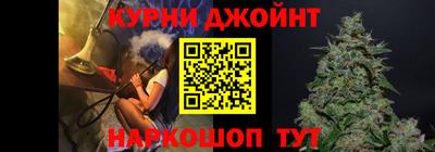 дмт Кингисепп