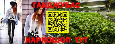дмт Кингисепп