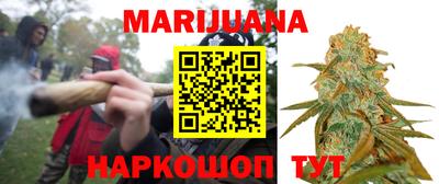 дмт Кингисепп