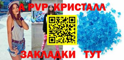 дмт Кингисепп