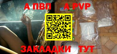 дмт Кингисепп
