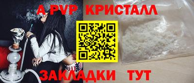 дмт Кингисепп