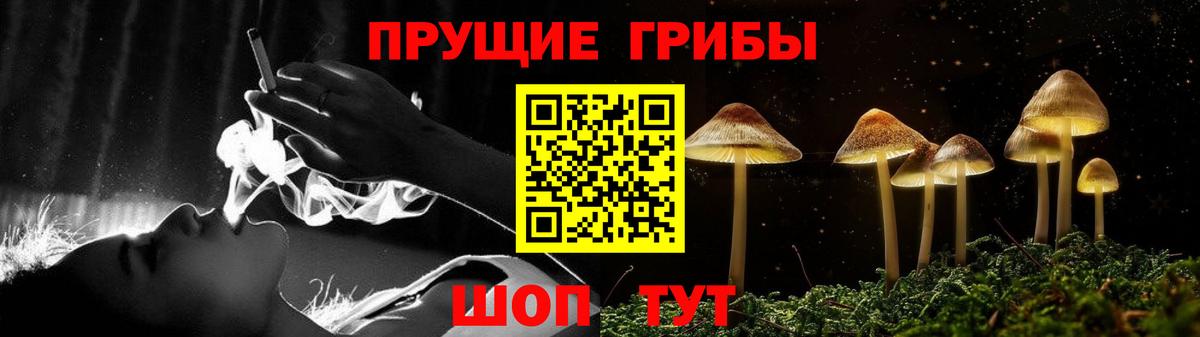Псилоцибиновые грибы Psilocybine cubensis Краснодар